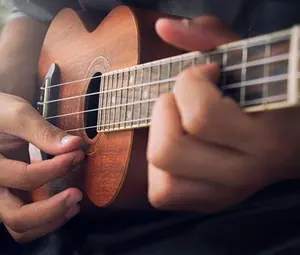 Downingtown PA Music Academy offering Ukulele Lessons in Exton, PA